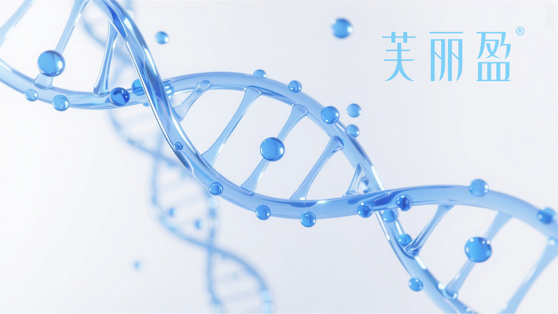 芙丽盈LOGO(定稿)_07.jpg